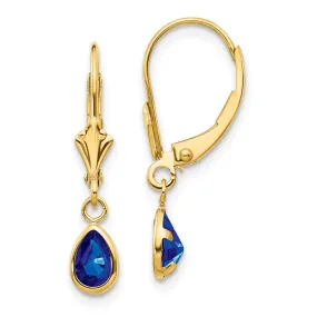 14k 6x4mm September/Sapphire Earrings