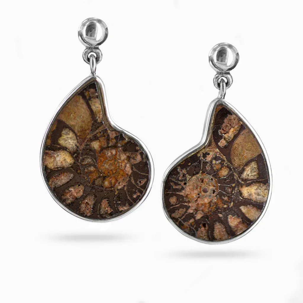 Ammonite Stud Drop Earrings