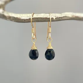 Dainty Black Onyx Earrings dangle Gold